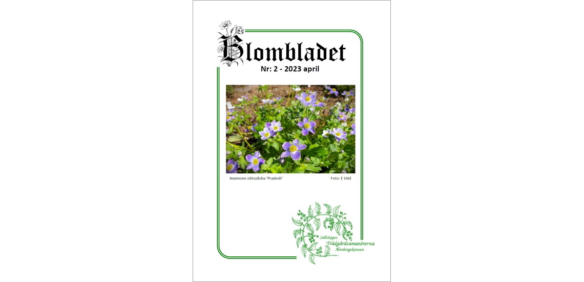 Blombladet